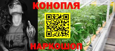 стафф Камень-на-Оби